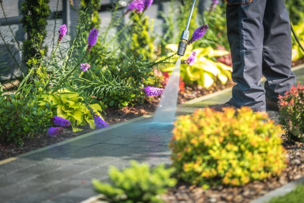 Trusted Airmont, NY Pressure Washing Services Experts